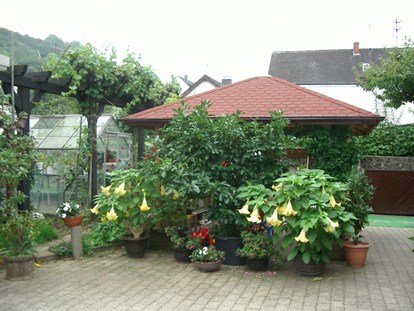 Monteurwohnung - Kaffeemaschine - Sitzecke im Garten kann gerne mitbenutzt werden - Haus Andries