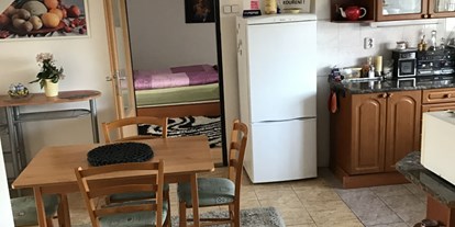 Monteurwohnung - Hund erlaubt - Tschechien - Wohnungen Dolejsi