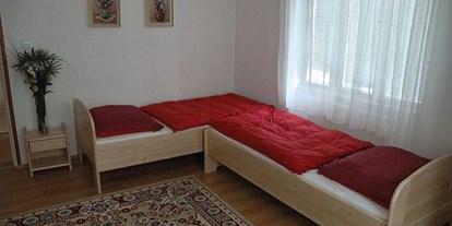 Monteurwohnung - Zimmertyp: Mehrbettzimmer - Tschechien - Wohnung Anna