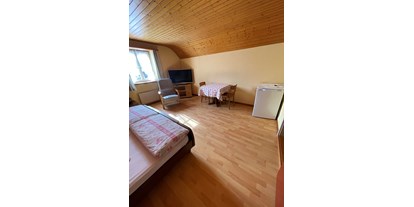 Monteurwohnung - Zimmertyp: Einzelzimmer - Schweiz - Landgasthof „zum Steg“