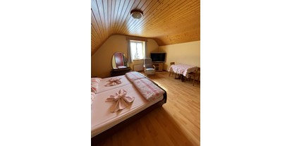 Monteurwohnung - Zimmertyp: Einzelzimmer - Schweiz - Landgasthof „zum Steg“