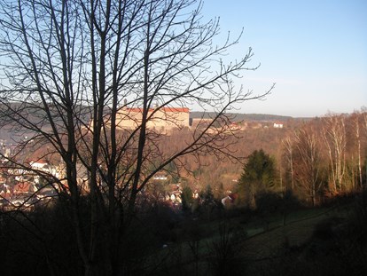 Monteurwohnung - Waschmaschine - Franken - Ausblick von der Dachterrasse auf die "Plassenburg" - Villa Lucia in Kulmbach