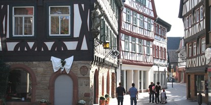 Monteurwohnung - Zimmertyp: Einzelzimmer - Hessen Süd - Altstadt Bensheim nur 15 Fußminuten entfernt - Apartmenthaus & Ferienwohnungen Horster