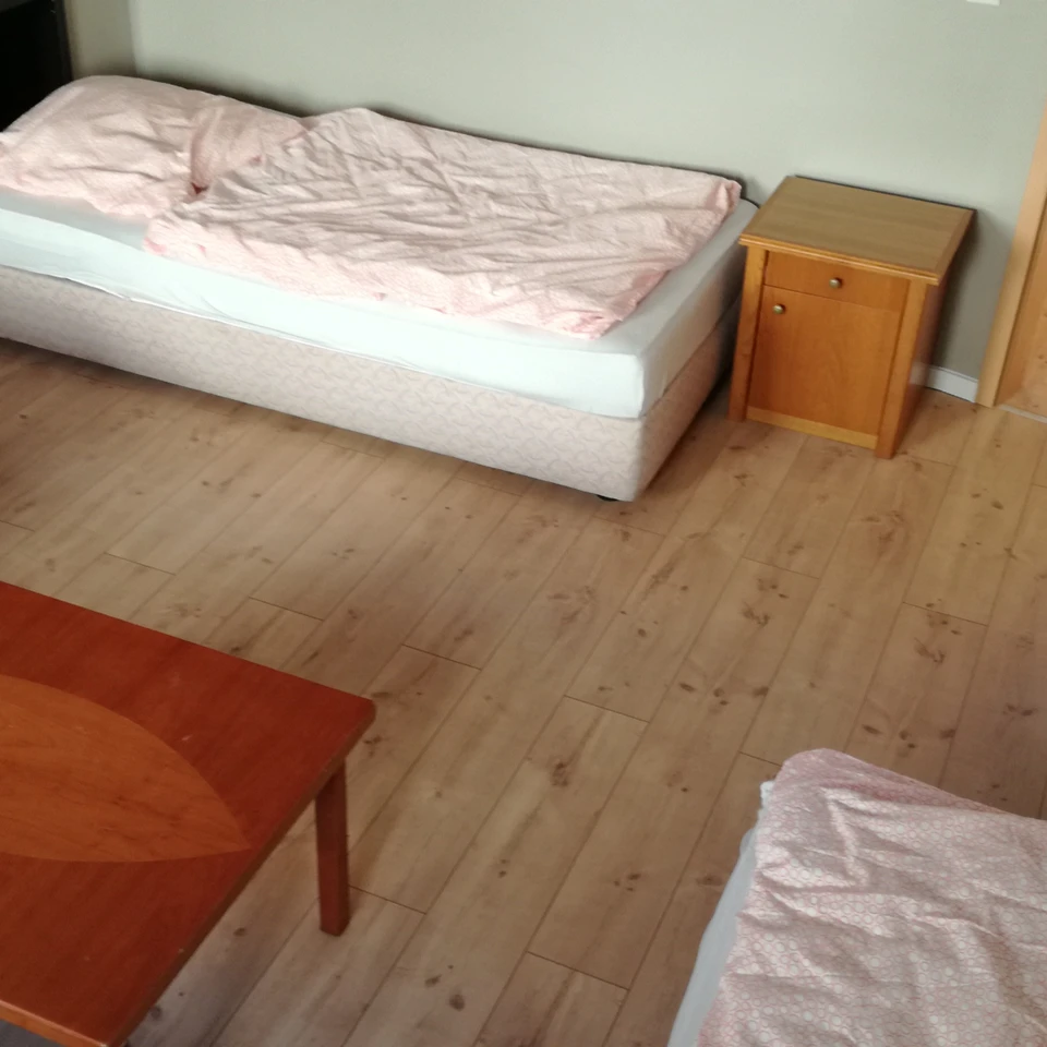 Monteurzimmer mit Hund in Merseburg