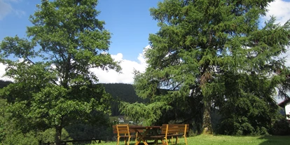 Monteurwohnung - Art der Unterkunft: Ferienwohnung - Schwarzwald - Garten mit Grillmöglichkeit - Ferienwohnung H. Pfeifle
