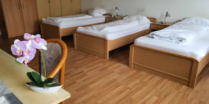 Monteurwohnung - Zimmertyp: Doppelzimmer - Braunschweig - Pension Salzgitter
