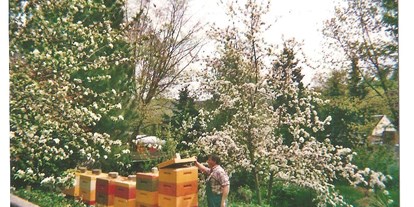 Monteurwohnung - Kühlschrank - PLZ 95197 (Deutschland) - Honig aus eigener Imkerei beim Imker Heinrich Dippold, Köditz - Heinrich Dippold