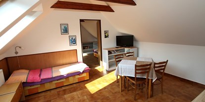 Monteurwohnung - Zimmertyp: Mehrbettzimmer - Prag und Mittelböhmische Region - STETI_Veronika