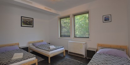 Monteurwohnung - Zimmertyp: Einzelzimmer - Rotterode - Monteur-/Dienstwohnung NIKI