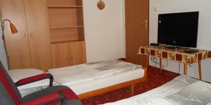 Monteurwohnung - Art der Unterkunft: Apartment - Prag und Mittelböhmische Region - Sterba Melnik