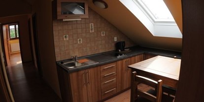 Monteurwohnung - Küche: eigene Küche - Tschechien - Paskov Na Statku