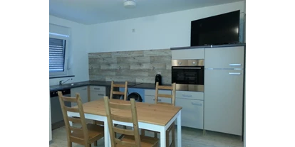 Monteurwohnung - Küche: eigene Küche - Bissersheim - Wohnküche mit Spülmaschine - Monteurzimmer Lampertheim
