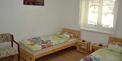 Monteurwohnung - Zimmertyp: Mehrbettzimmer - Haus Hlubocky