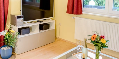 Monteurwohnung - Kühlschrank - PLZ 8900 (Österreich) - Wohnzimmer mit Smart TV - Netflix - Ferienwohnung Mountain View 1