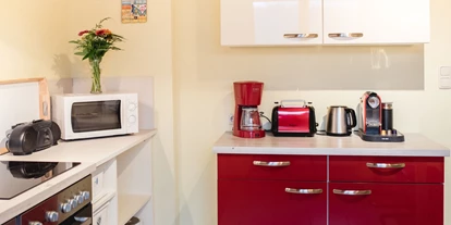 Monteurwohnung - Kühlschrank - Neulassing - Küche mit Geräten - Ferienwohnung Mountain View 1
