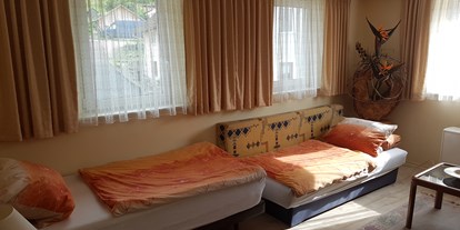 Monteurwohnung - Bettwäsche: Bettwäsche inklusive - Ötigheim - Zimmer 2 mit Einzelbett und Schlafsofa - Peter Monteurzimmer Krassa