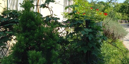 Monteurwohnung - Kühlschrank - Weinviertel - LenAs Gartenwohnung mit Blick in den Auwald - LenAs Gartenwohnung