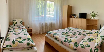 Monteurwohnung - Zimmertyp: Doppelzimmer - Neudorf bei Staatz - Appartment Hrušovany