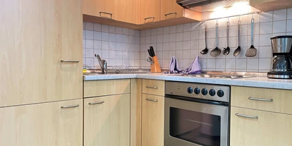 Monteurwohnung - Zimmertyp: Einzelzimmer - Schwarzach bei Nabburg - Küche - Monteurappartement in super Lage / Monteurunterkunft (SAD171)
