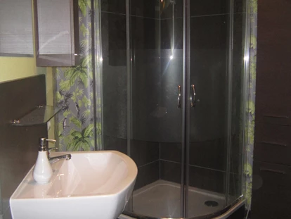 Monteurwohnung - Badezimmer: eigenes Bad - Sachsen - Badezimmer mit Dusche - FeWo Am Heidrian