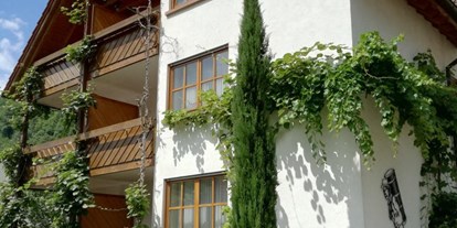 Monteurwohnung - Küche: eigene Küche - Klingenmünster - Apartment / Pension Zum Bürstenbinder