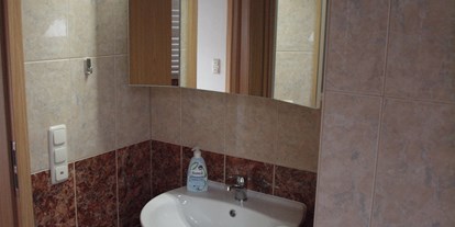 Monteurwohnung - Kühlschrank - PLZ 96349 (Deutschland) - Spiegelschrank und Waschbecken - Ferienwohnung Rennsteigoase Rosenthal