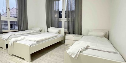 Monteurwohnung - Kühlschrank - Niedermurach - Schlafzimmer - (SWF111) Komfortable Monteurwohnung / Übergangswohnung 