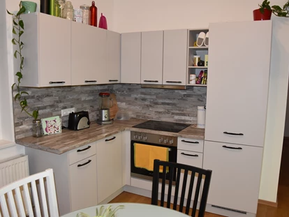 Monteurwohnung - Zimmertyp: Einzelzimmer - Pönegg - Küche - Wochenzimmer - Premium Apartments für Monteure und Projektteams