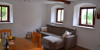 Monteurwohnung - Badezimmer: eigenes Bad - Heidenau (Landkreis Sächsische Schweiz) - Wohnküche mit ausziehbarer Couch - FerienwohnungMax 22