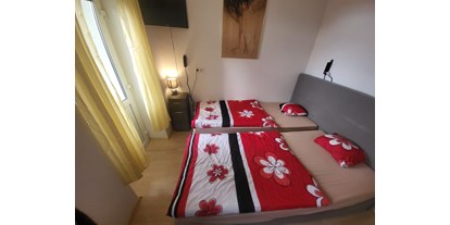 Monteurwohnung - Art der Unterkunft: Apartment - Wachsenburggemeinde - Apartmentzimmer
