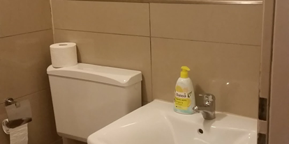 Monteurwohnung - Waschmaschine - Ötigheim - Toilette, Waschbecken und Spiegel im Badezimmer - Monteurwohnung Rastatt