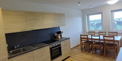 Monteurwohnung - Küche: eigene Küche - Lindenlach - Monteurzimmer/Apartment nähe Linz/Wels