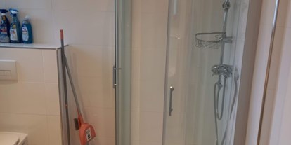Monteurwohnung - Kühlschrank - Steiermark - Badezimmer mit Toilette, Waschbecken, Spiegel und Waschmaschine - Graz 1 Andritzer Reichsstraße (4 Personen)