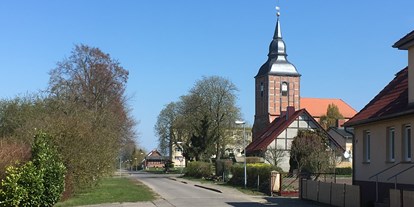 Monteurwohnung - Einzelbetten - Schönwalde (Vorpommern-Greifswald) - Anfahrtsstrasse zur Wohnung, Geringfügige befahrene Dorfstraße  - Zumspatzennest