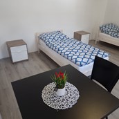 Monteurzimmer - Neu renovierte Appartement OMV nähe