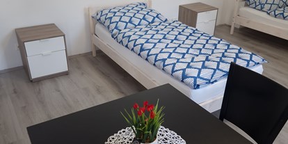 Monteurwohnung - Zimmertyp: Mehrbettzimmer - Donauraum - Neu renovierte Appartement OMV nähe