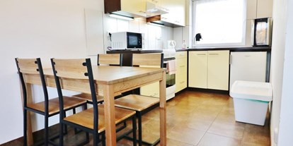 Monteurwohnung - Küche: eigene Küche - Prag und Mittelböhmische Region - Klucov