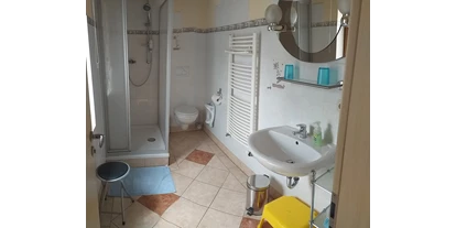 Monteurwohnung - Art der Unterkunft: Ferienwohnung - Dittersdorf (Saale-Orla-Kreis) - Dusche mit WC - Hofellen