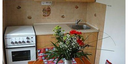 Monteurwohnung - Küche: eigene Küche - Tschechien - Wohnung Anna