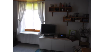 Monteurwohnung - Zimmertyp: Doppelzimmer - Klöntal - TV ecke Kaminzauber - Ferienwohnung Alter Raaben