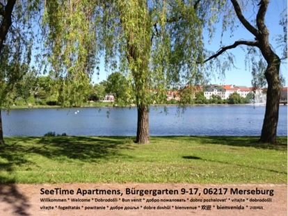 Monteurwohnung - Art der Unterkunft: Apartment - Sachsen-Anhalt - SeeTime ( ALL- INCLUSIV RENT )