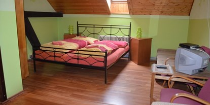 Monteurwohnung - Zimmertyp: Doppelzimmer - Tschechien - Straziste