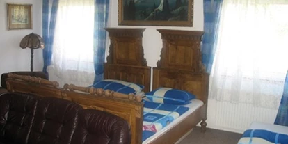 Monteurwohnung - Zimmertyp: Mehrbettzimmer - Radvanovice