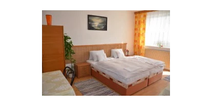 Monteurwohnung - Zimmertyp: Mehrbettzimmer - Hrušovany nad Jevišovkou