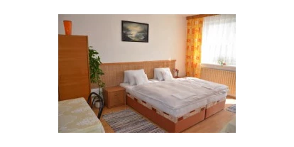 Monteurwohnung - Zimmertyp: Doppelzimmer - Hanfthal - Hrušovany nad Jevišovkou