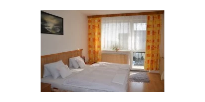 Monteurwohnung - Zimmertyp: Doppelzimmer - Hanfthal - Hrušovany nad Jevišovkou
