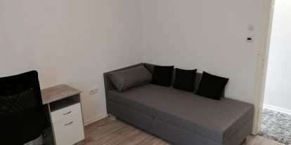 Monteurwohnung - WLAN - Billerbeck Billerbeck - Schlafsofa und Schreibtisch und Fernseher  - 1 Zimmer Appartement