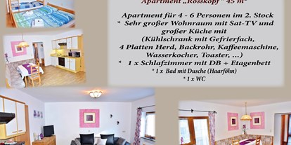 Monteurwohnung - Küche: eigene Küche - Tirol - Geräumige Wohnung für 4 - 6 Personen! 45 m" Apartment Rosskopf - großes Wohnzimmer - Astoria Apartments Wildschoenau