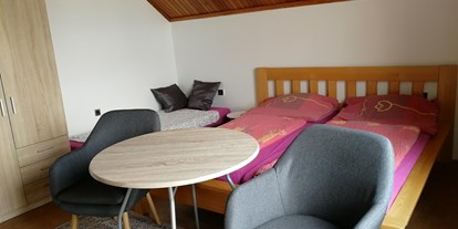 Monteurwohnung - Zimmertyp: Einzelzimmer - Holín