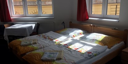 Monteurwohnung - Zimmertyp: Doppelzimmer - Nova Paka Sklepy